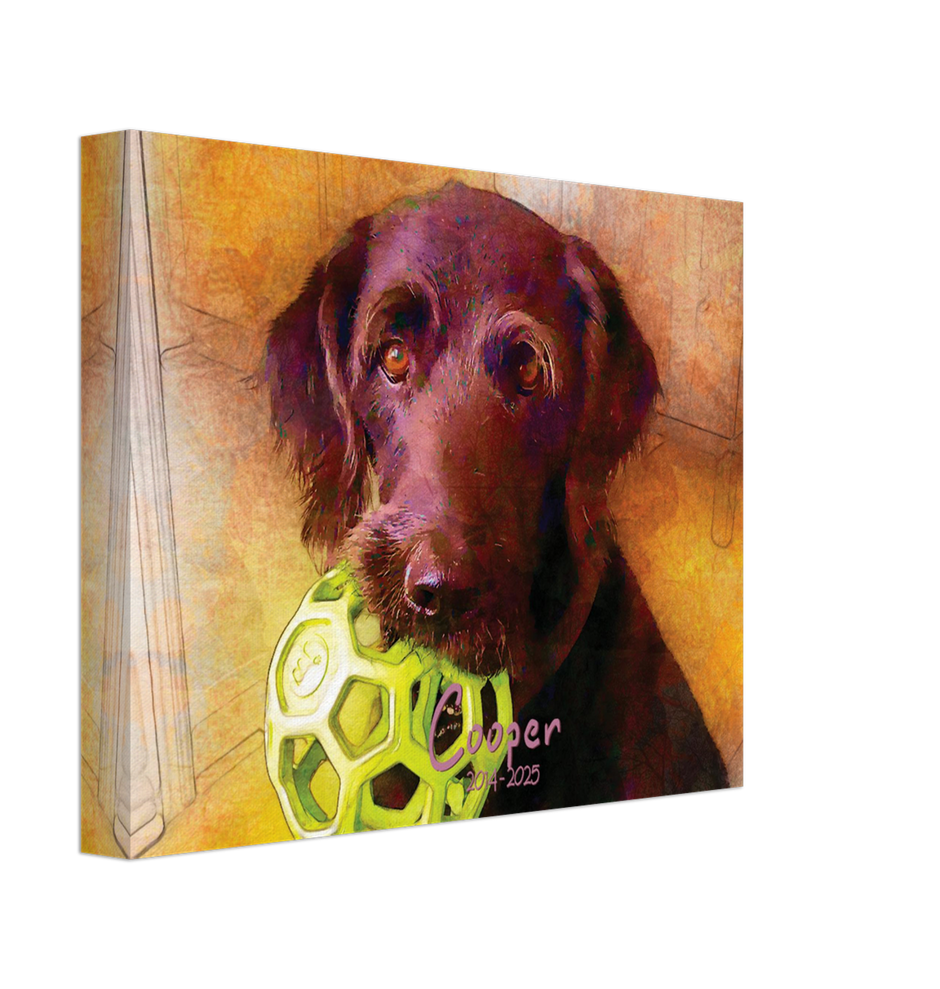 Pet Canvas