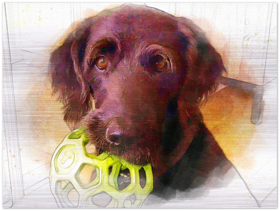 Pet Brushed Aluminum
