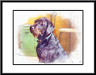 Adorable Pet Art