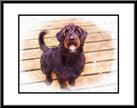 Adorable Pet Art