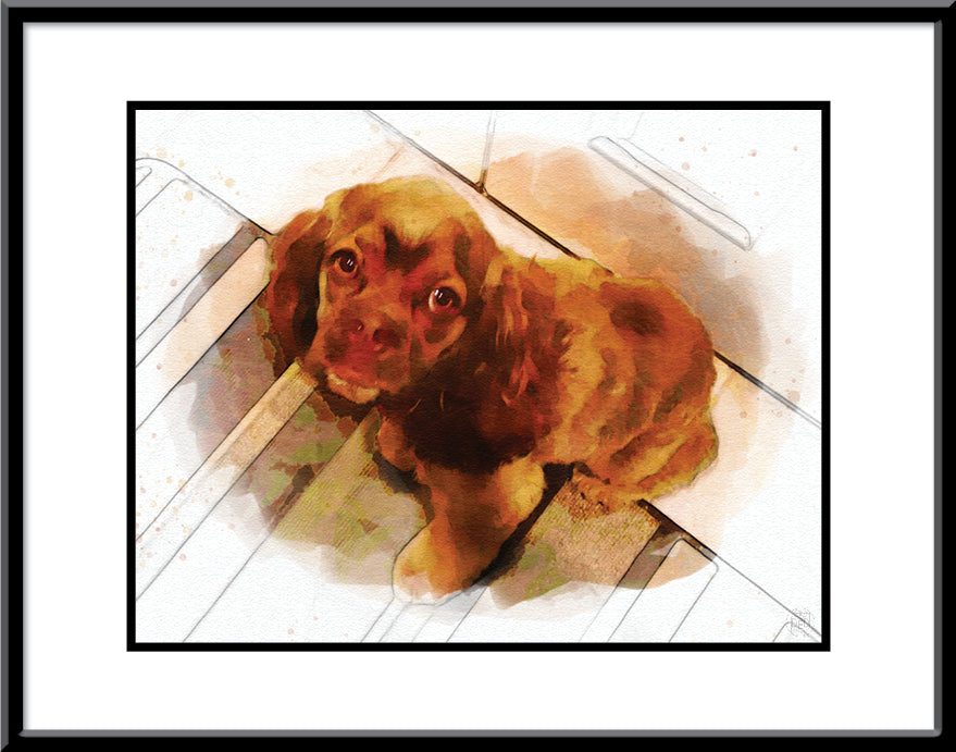 Adorable Pet Art