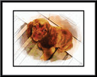 Adorable Pet Art
