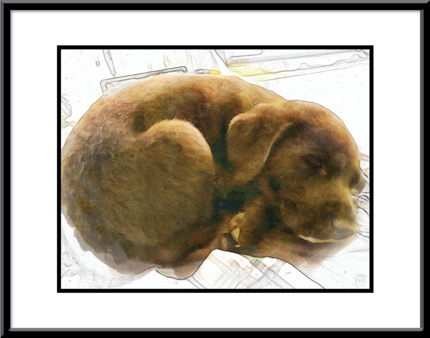 Adorable Pet Art