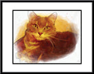 Adorable Pet Art